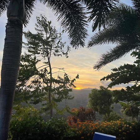 Hawk'S Nest Bed & Breakfast La Laguna de San Carlos Ngoại thất bức ảnh