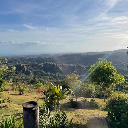 Hawk'S Nest Bed & Breakfast La Laguna de San Carlos Ngoại thất bức ảnh