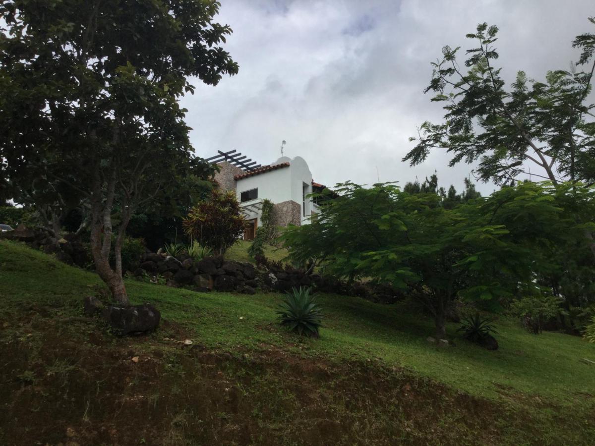 Hawk'S Nest Bed & Breakfast La Laguna de San Carlos Ngoại thất bức ảnh