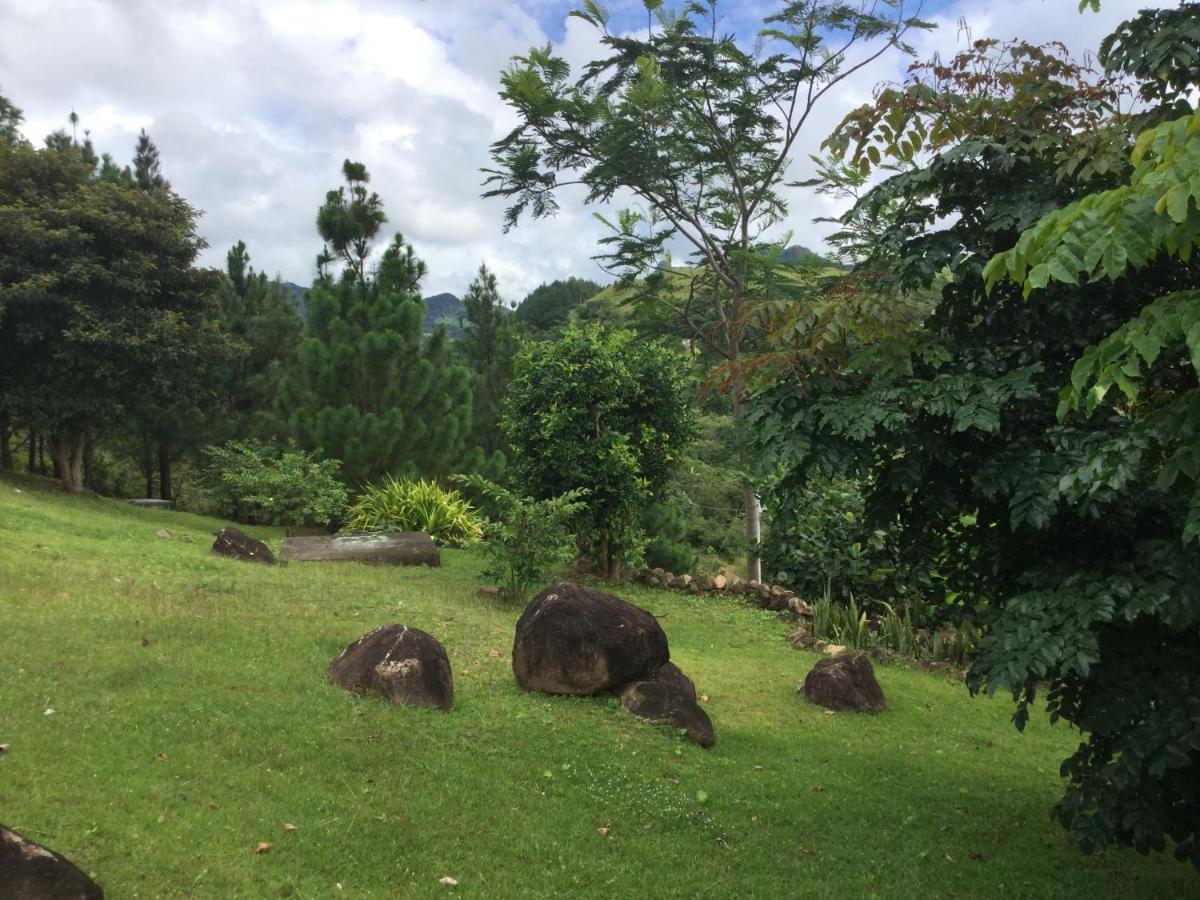Hawk'S Nest Bed & Breakfast La Laguna de San Carlos Ngoại thất bức ảnh