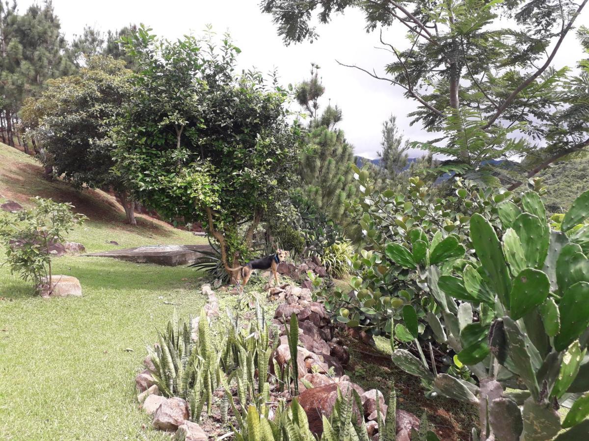 Hawk'S Nest Bed & Breakfast La Laguna de San Carlos Ngoại thất bức ảnh