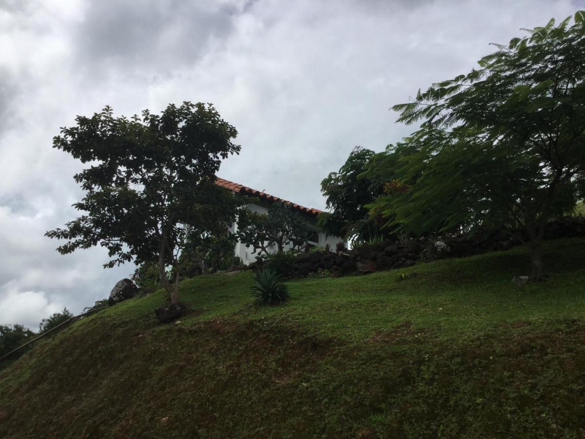 Hawk'S Nest Bed & Breakfast La Laguna de San Carlos Ngoại thất bức ảnh