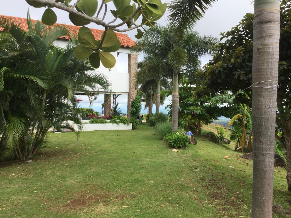 Hawk'S Nest Bed & Breakfast La Laguna de San Carlos Ngoại thất bức ảnh