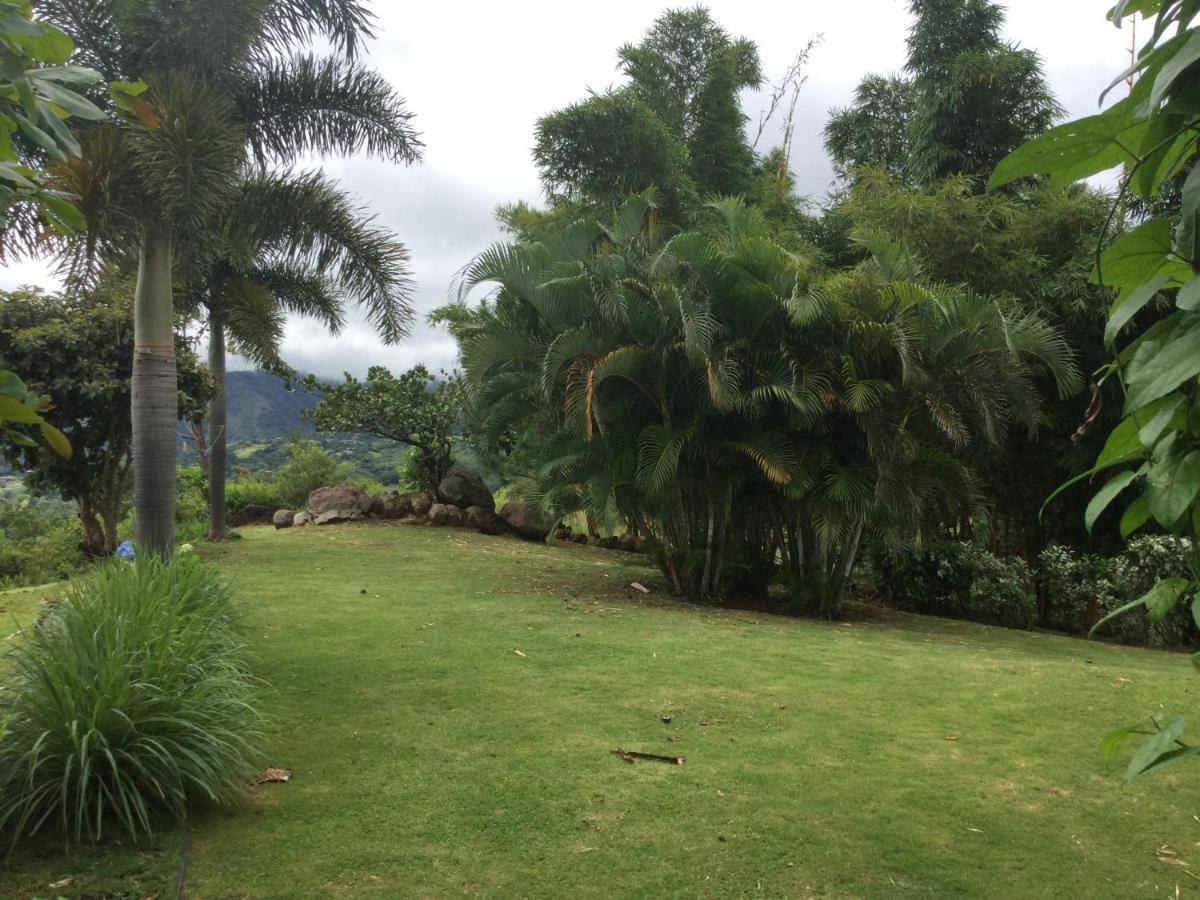Hawk'S Nest Bed & Breakfast La Laguna de San Carlos Ngoại thất bức ảnh