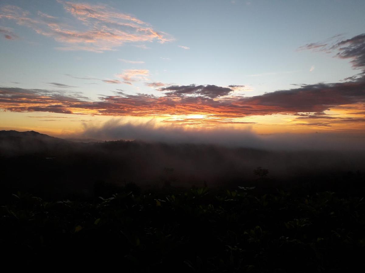 Hawk'S Nest Bed & Breakfast La Laguna de San Carlos Ngoại thất bức ảnh