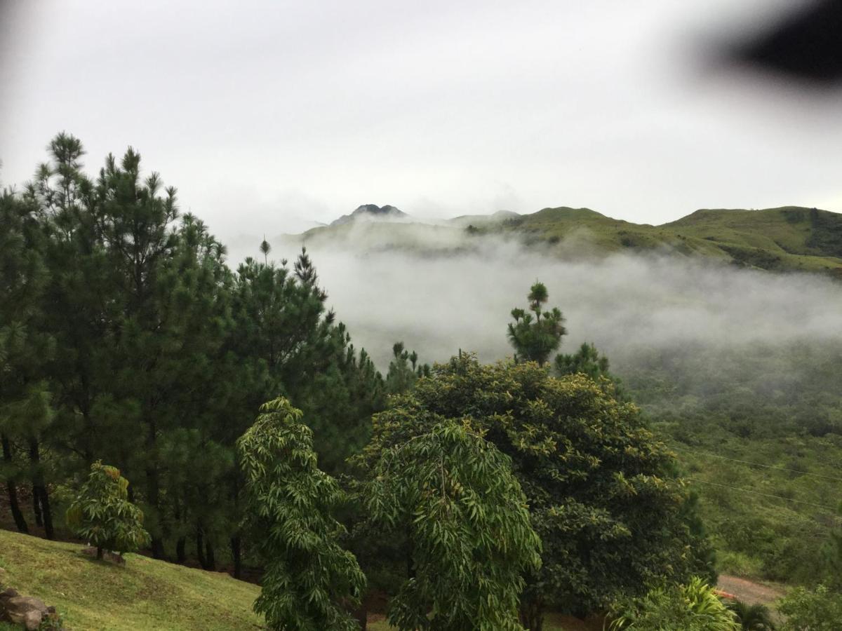 Hawk'S Nest Bed & Breakfast La Laguna de San Carlos Ngoại thất bức ảnh