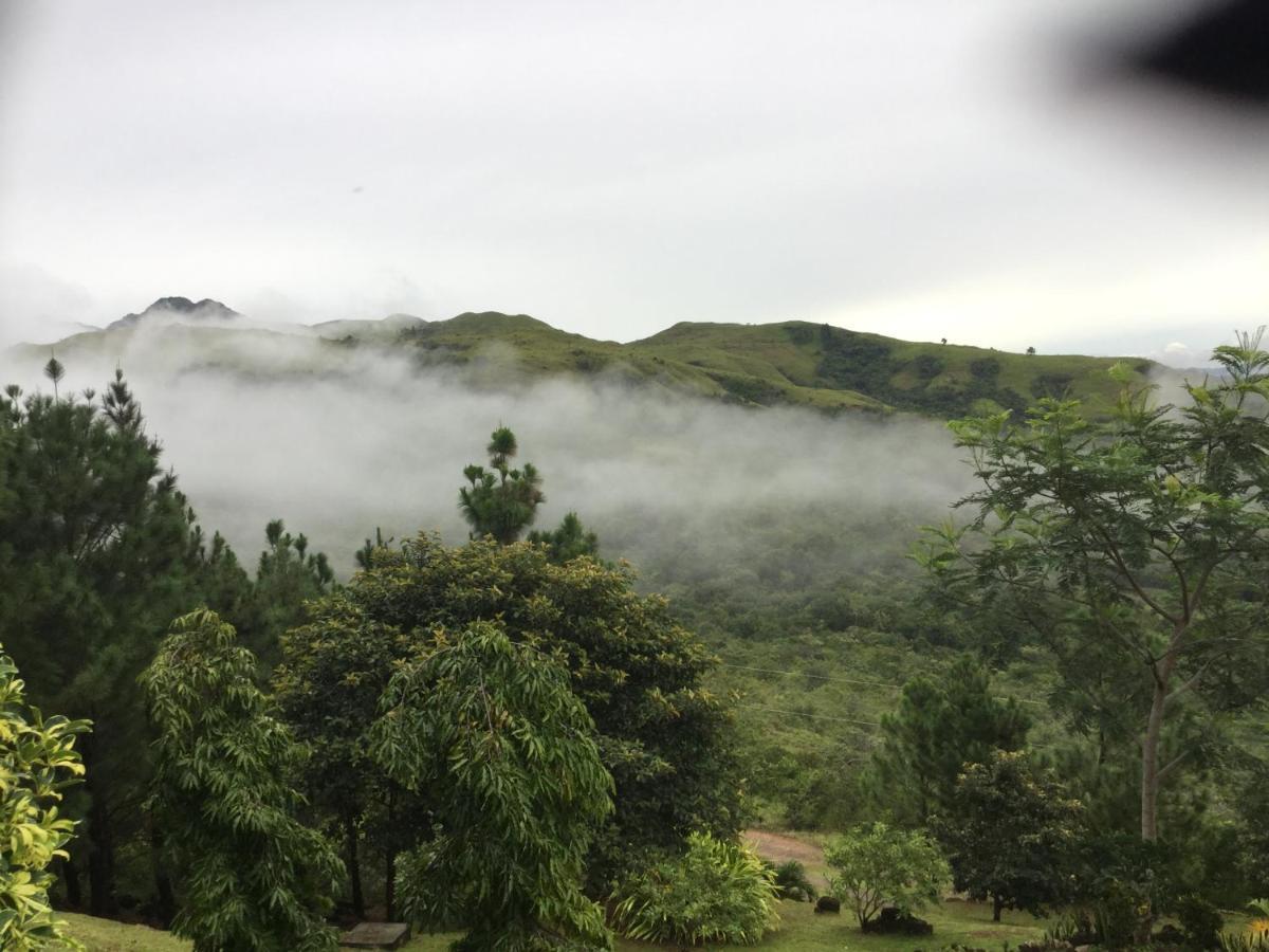 Hawk'S Nest Bed & Breakfast La Laguna de San Carlos Ngoại thất bức ảnh