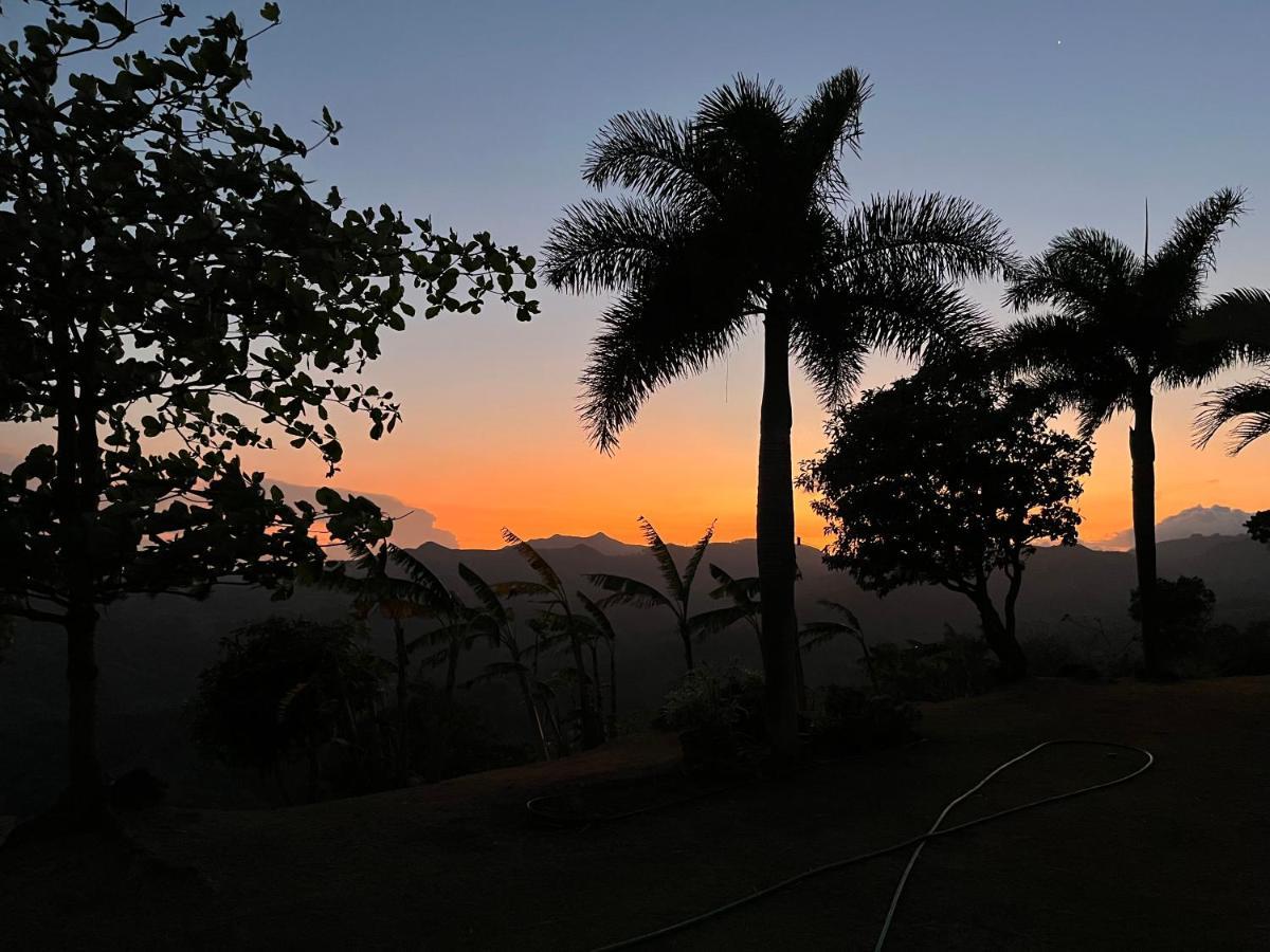 Hawk'S Nest Bed & Breakfast La Laguna de San Carlos Ngoại thất bức ảnh