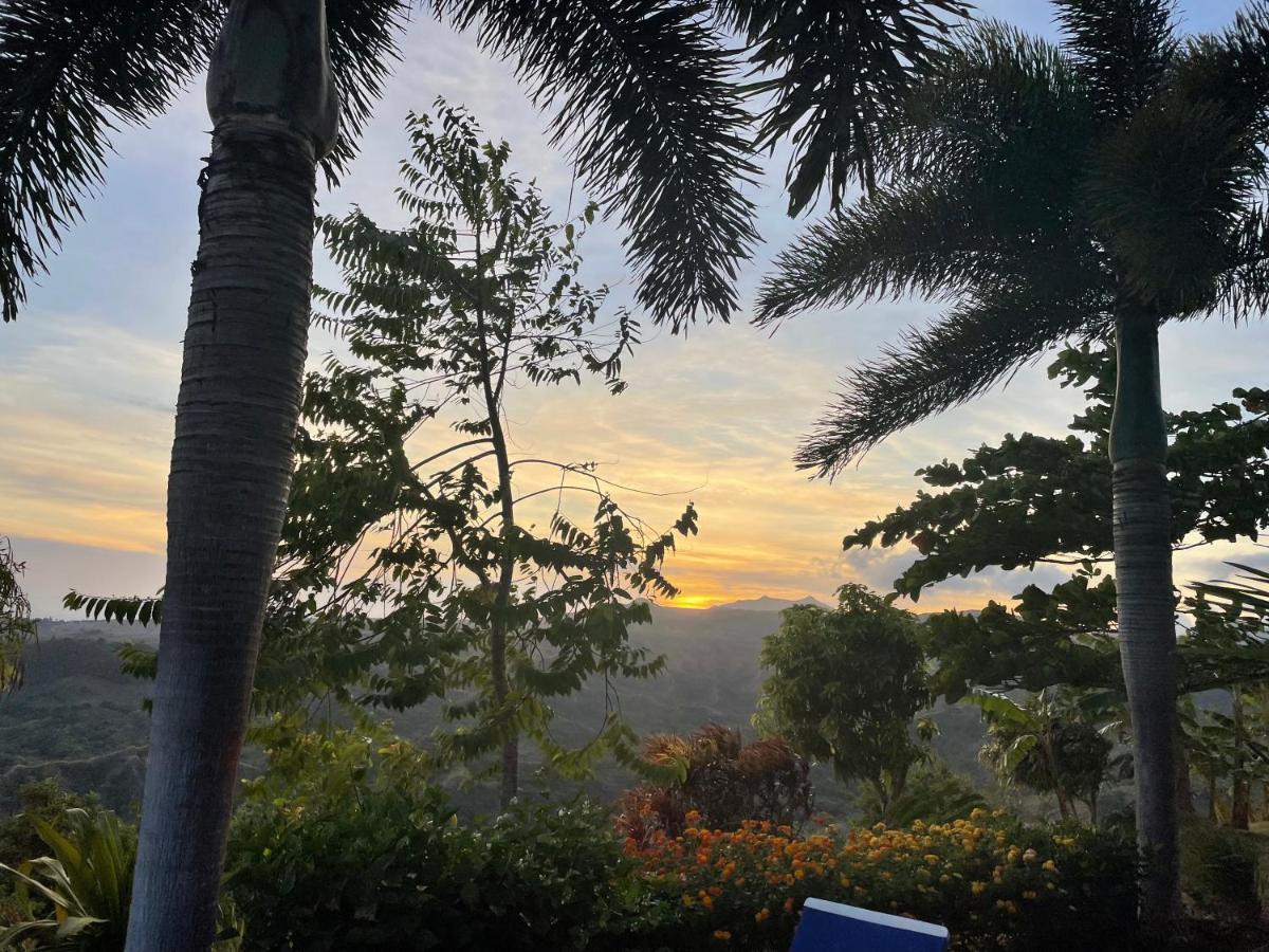 Hawk'S Nest Bed & Breakfast La Laguna de San Carlos Ngoại thất bức ảnh