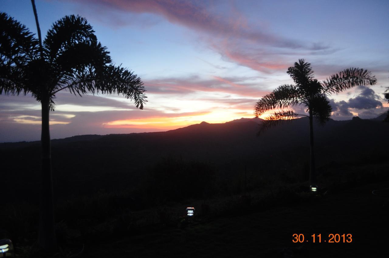 Hawk'S Nest Bed & Breakfast La Laguna de San Carlos Ngoại thất bức ảnh