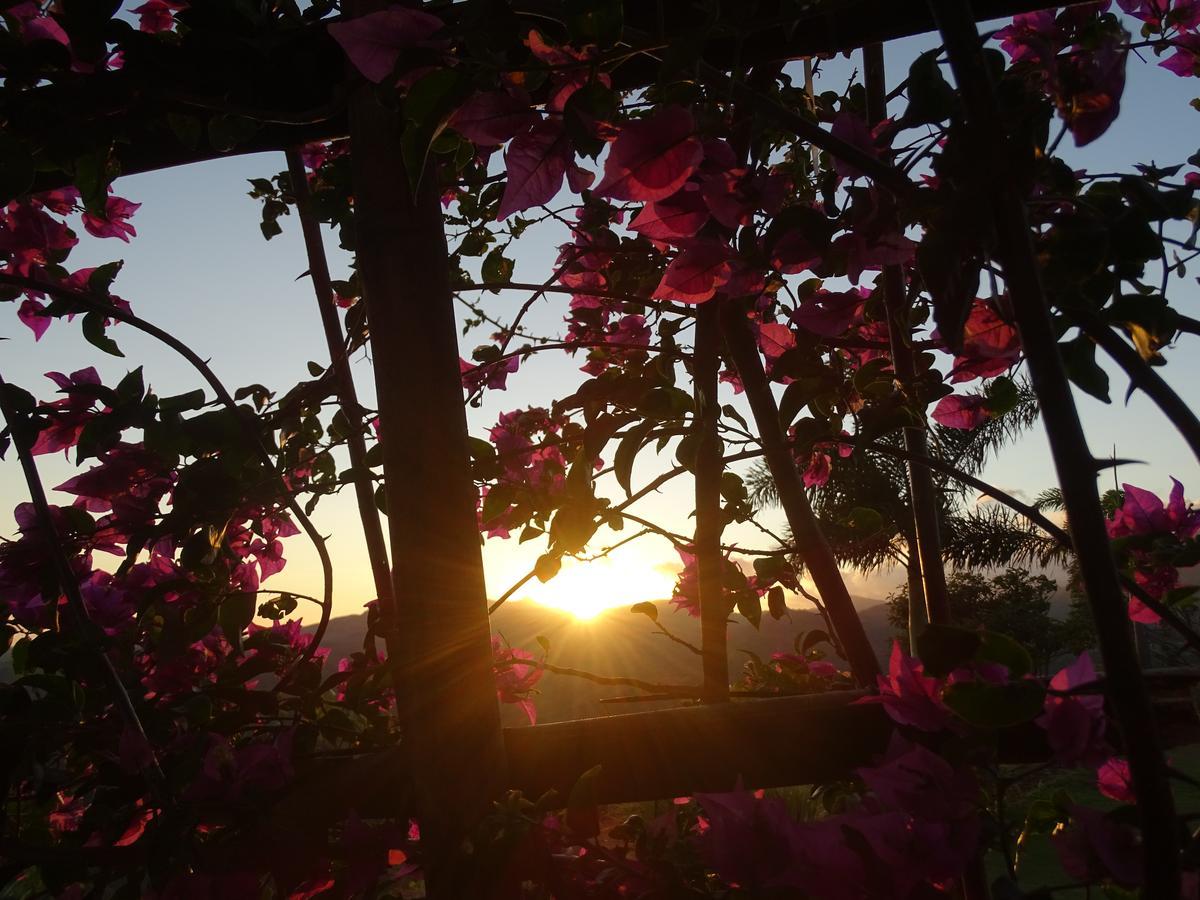 Hawk'S Nest Bed & Breakfast La Laguna de San Carlos Ngoại thất bức ảnh
