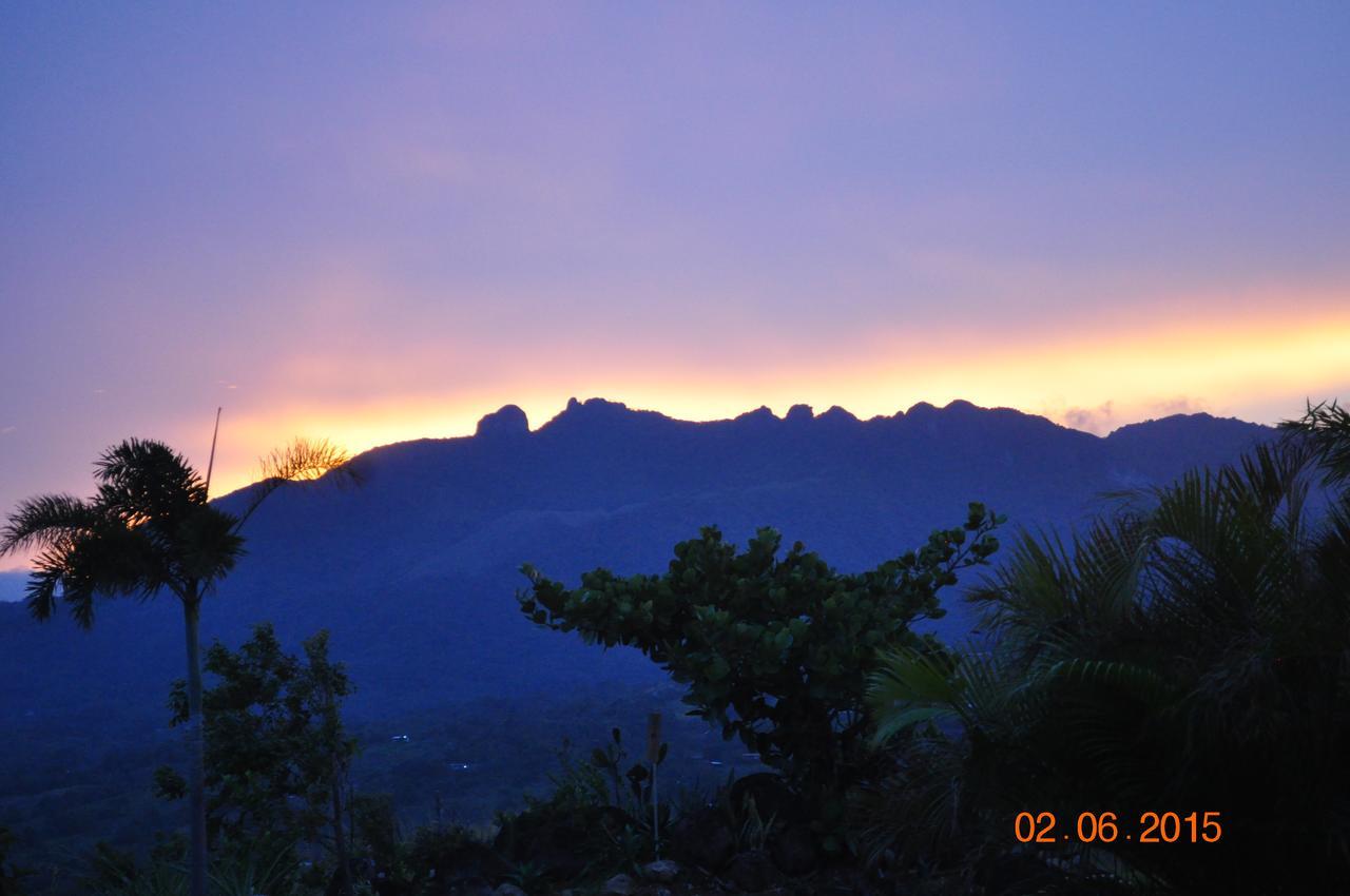 Hawk'S Nest Bed & Breakfast La Laguna de San Carlos Ngoại thất bức ảnh