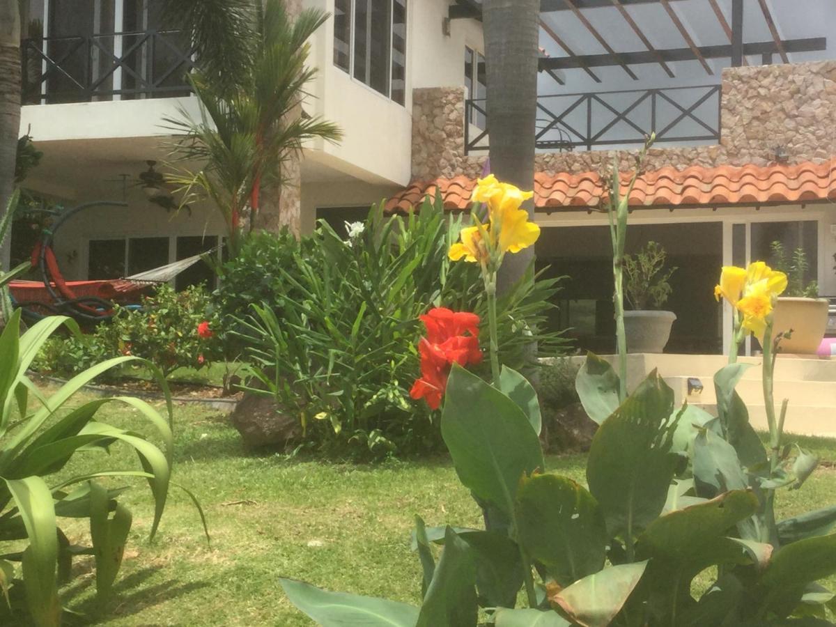 Hawk'S Nest Bed & Breakfast La Laguna de San Carlos Ngoại thất bức ảnh